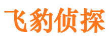 湘东侦探公司